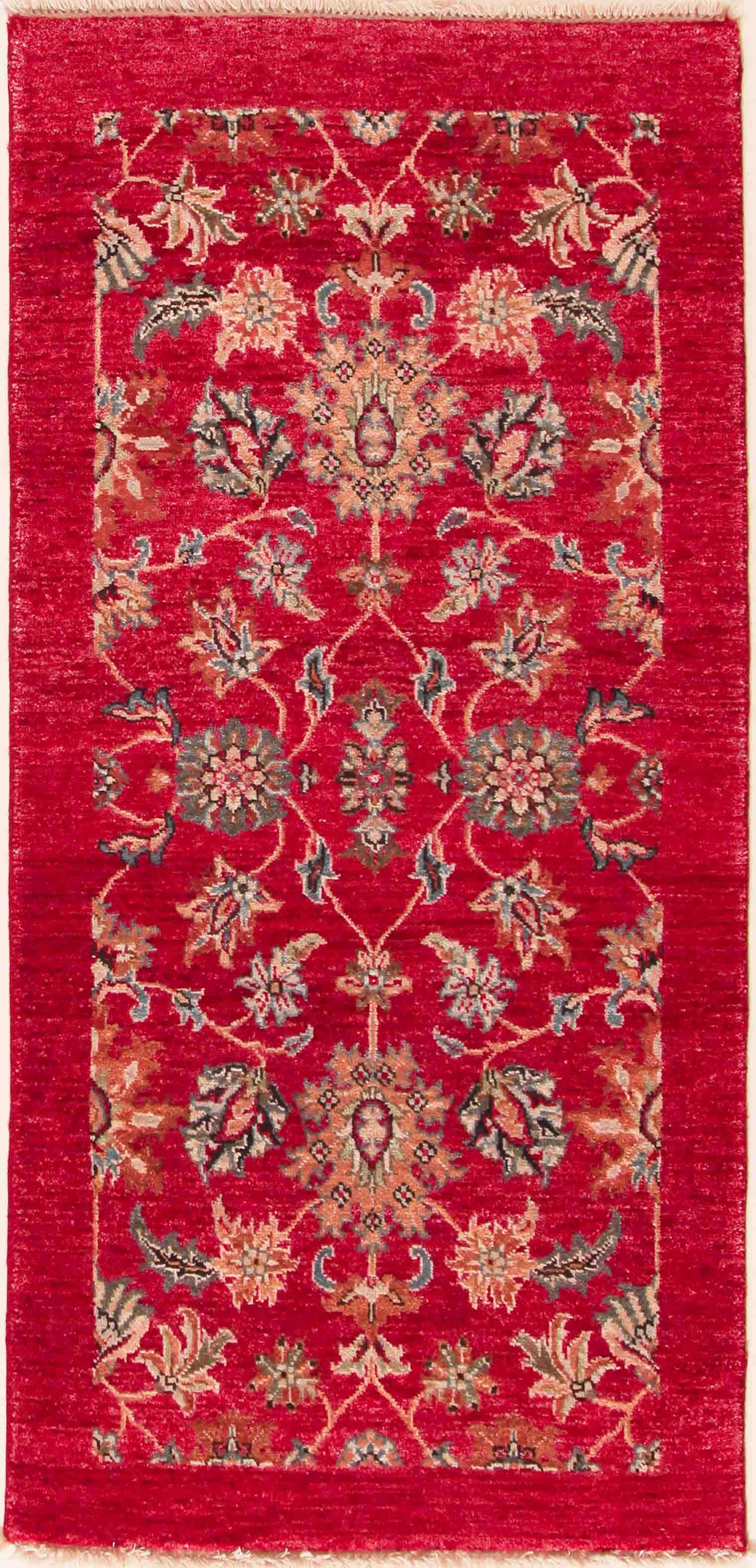 Renaissance rot 142x69