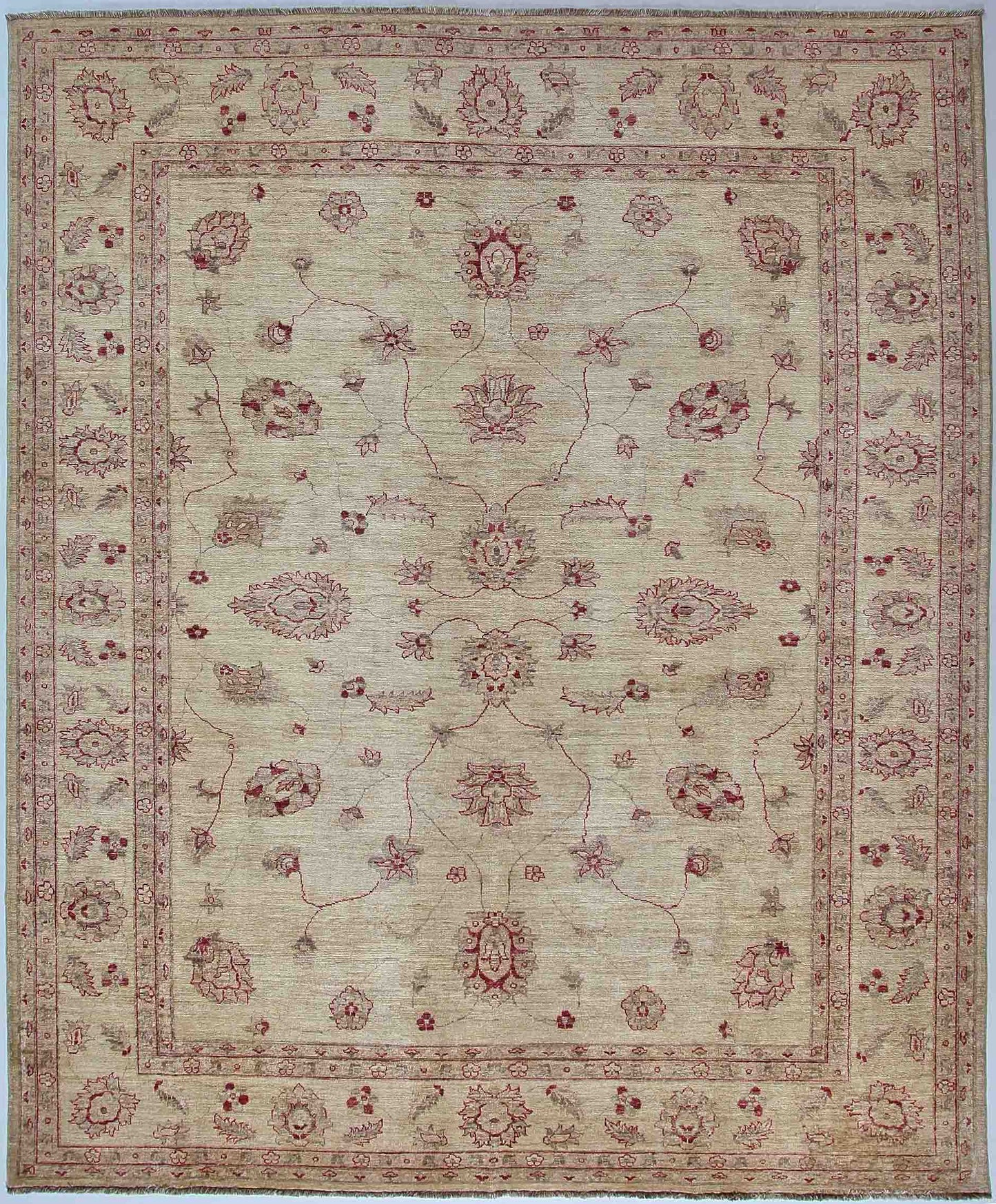 Farahan 295x245