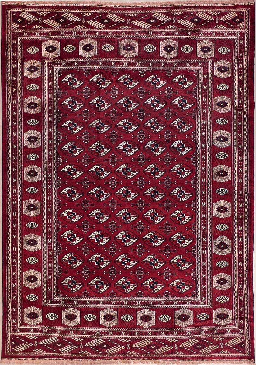 Turkman fein 377x264