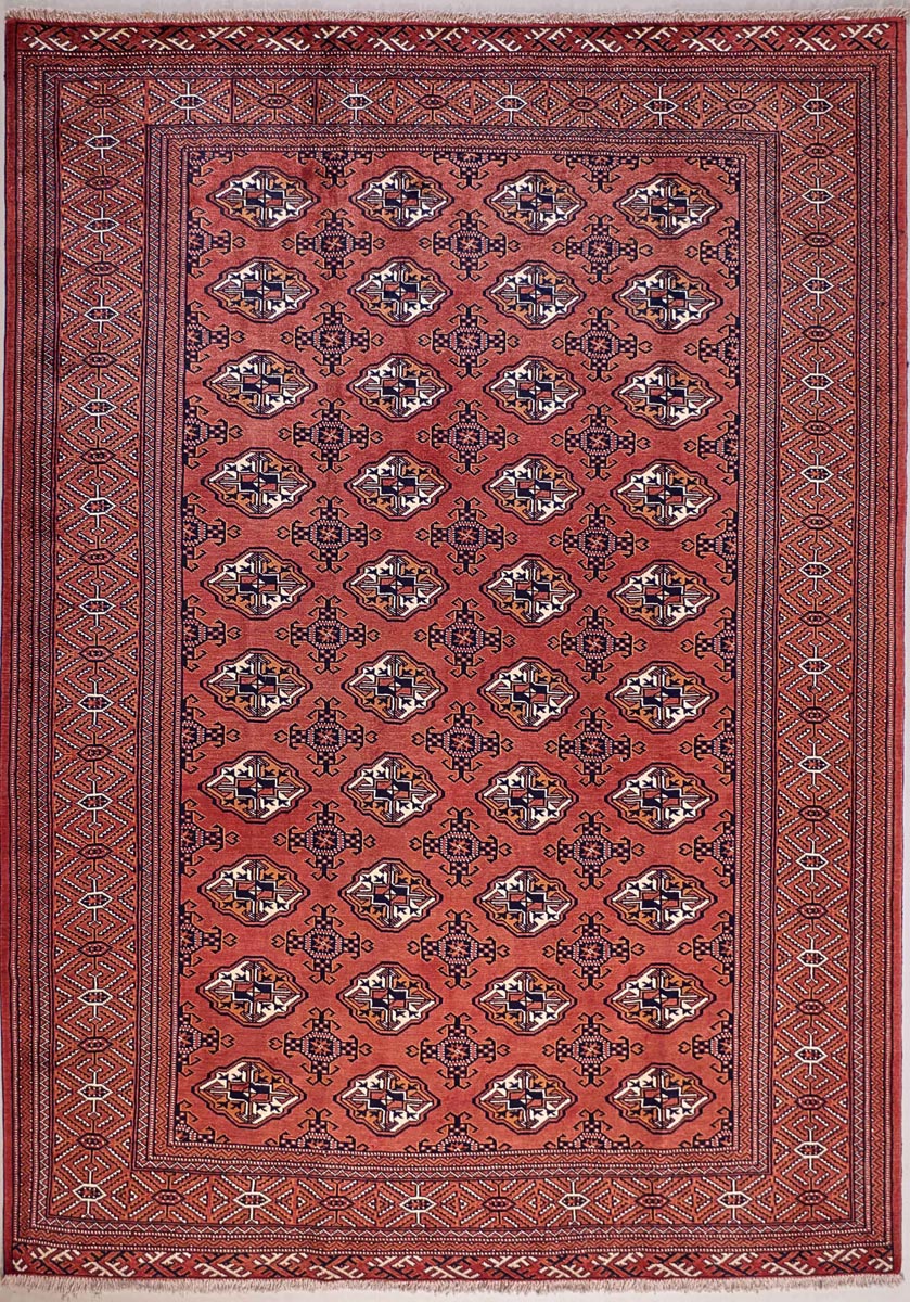 Turkman fein 290x209
