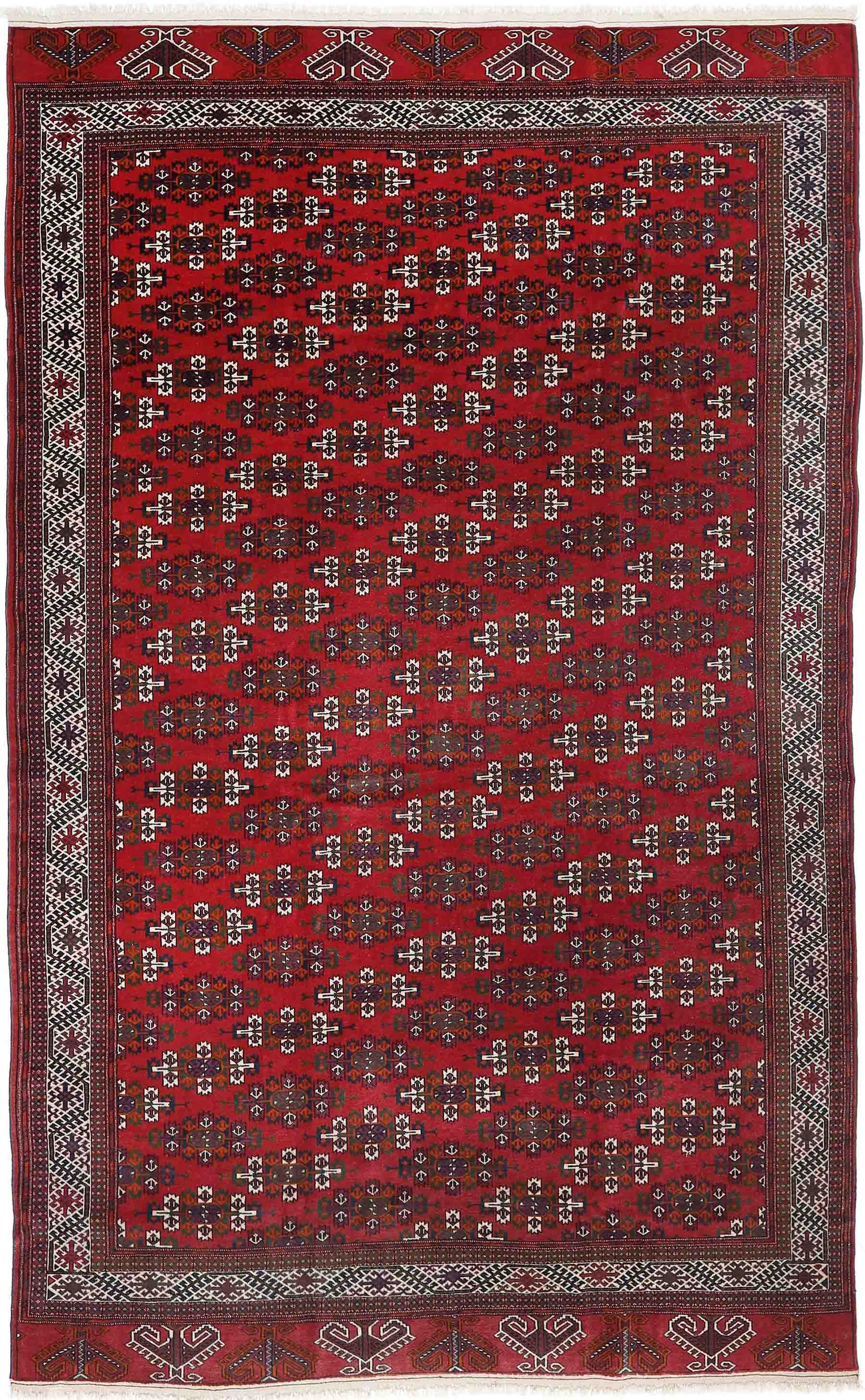 Turkman fein 385x236