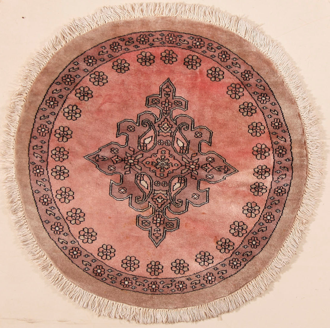 Pak-Buchara 100x100