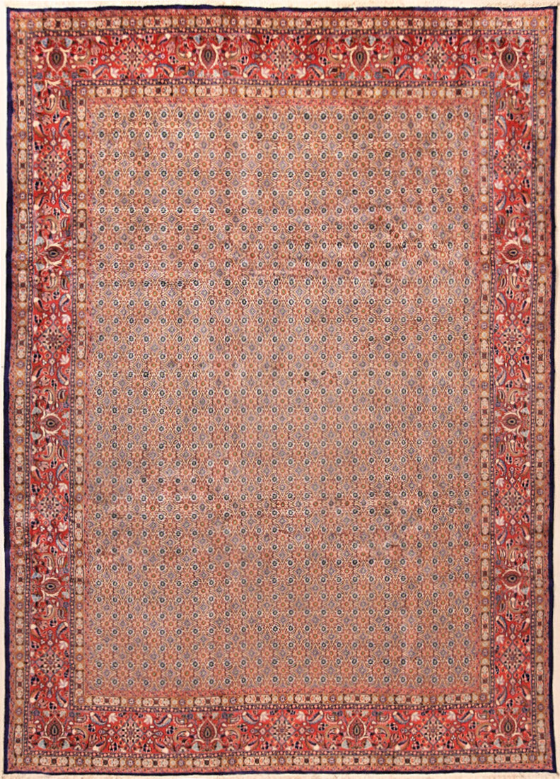 Moud Royal 340x240
