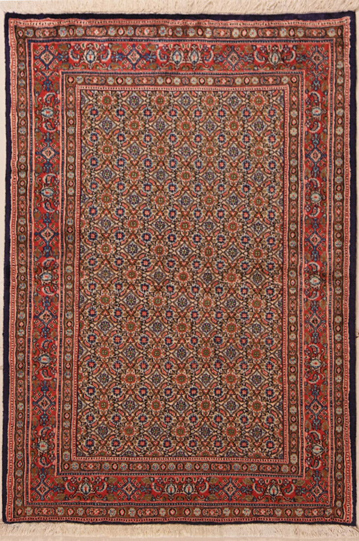Moud Royal 147x100