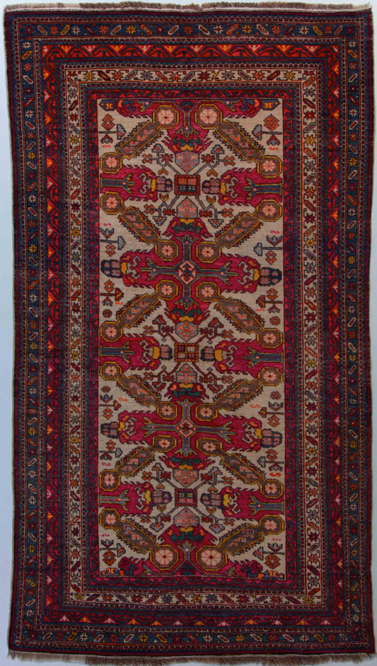 Schirwan AS    206x121