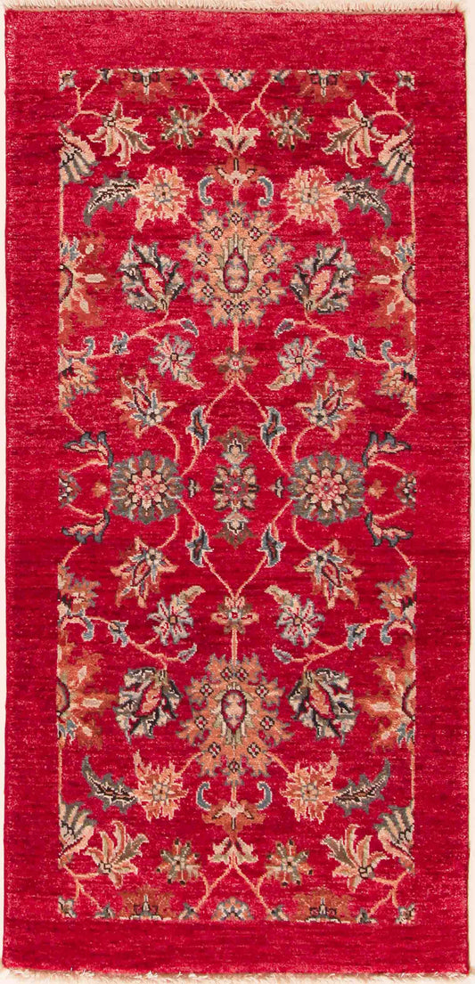Renaissance rot    142x69