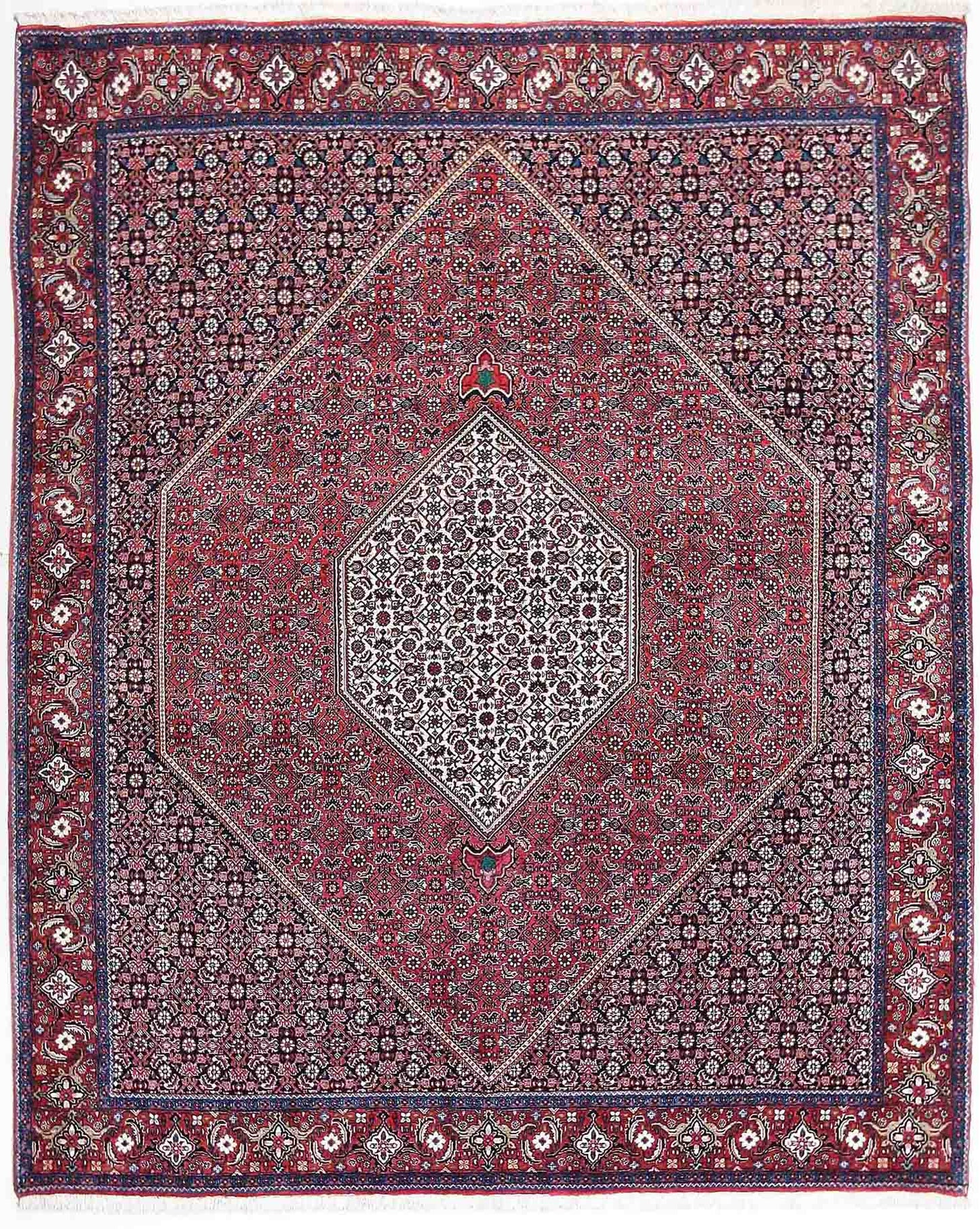 Bidjar    253x207