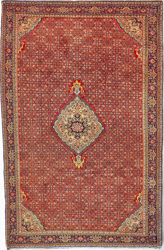 Bidjar    347x229