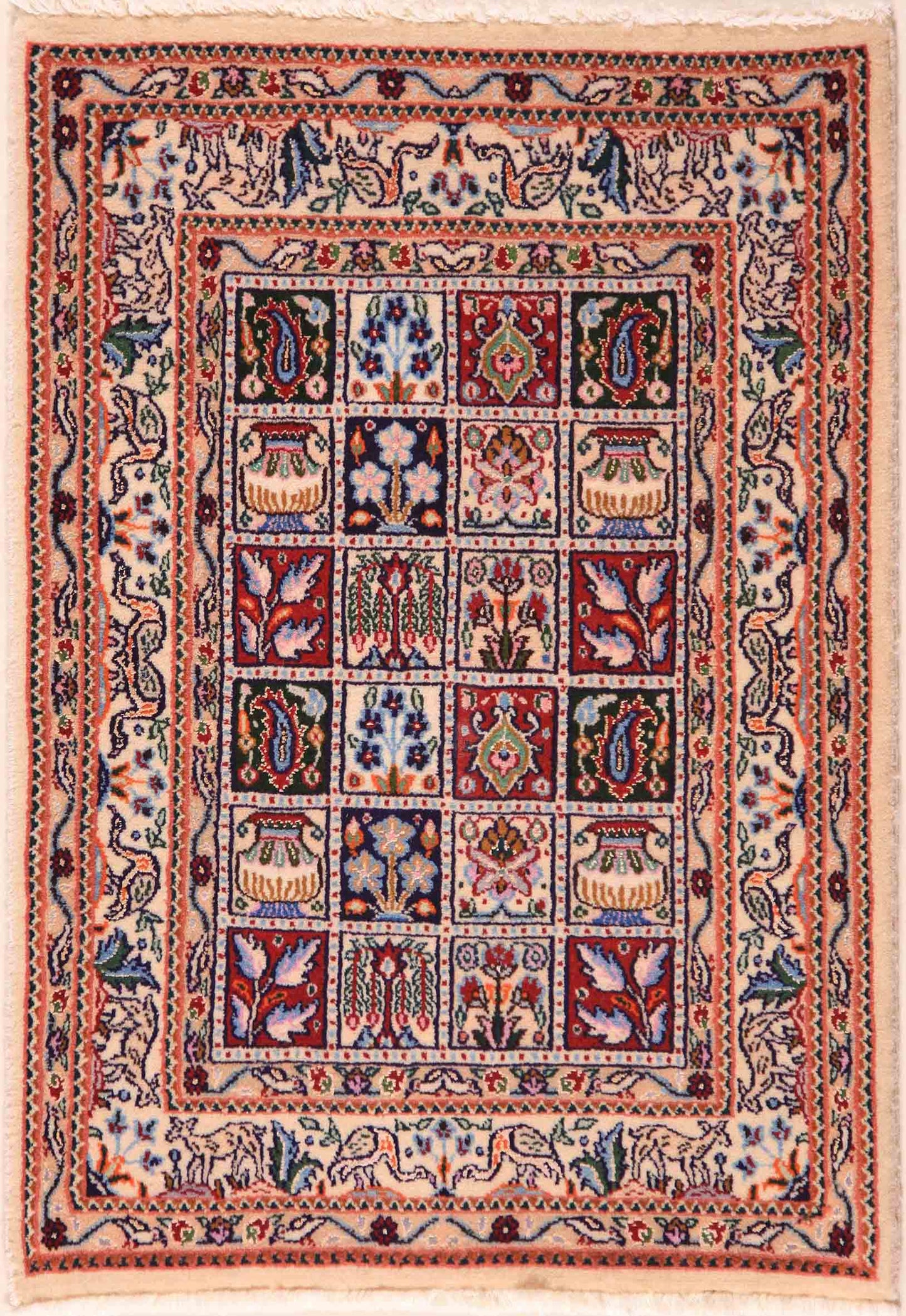 Moud Royal    90x60
