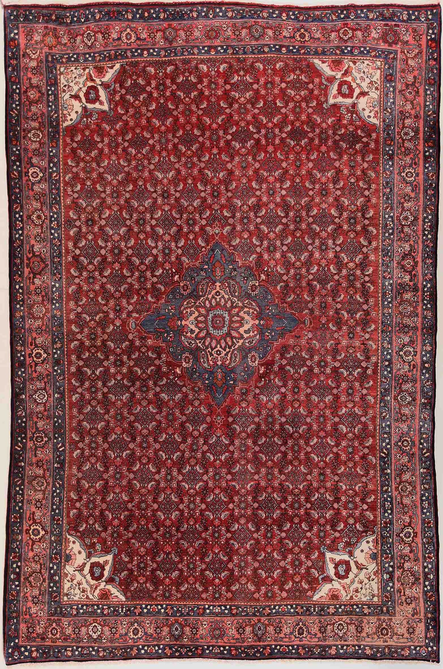 Bidjar  Antik    340x220