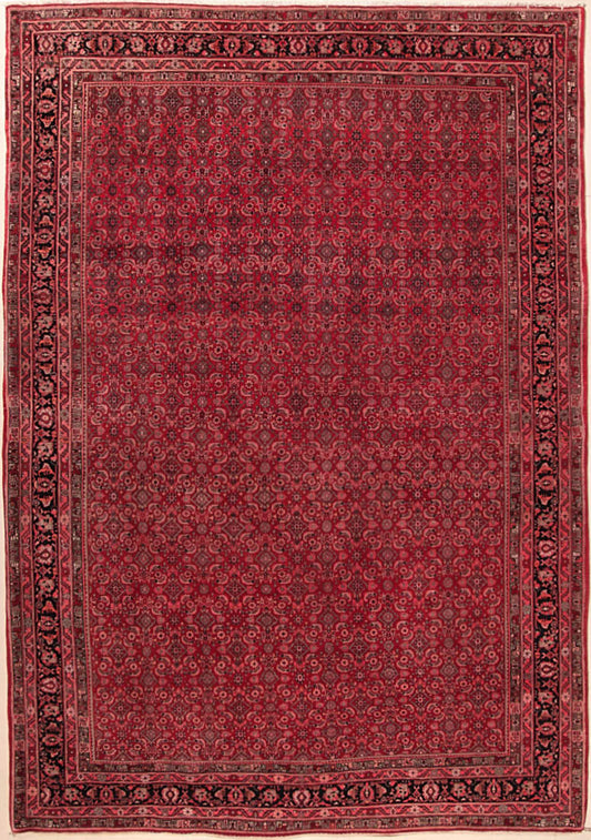 Bidjar alt    331x227