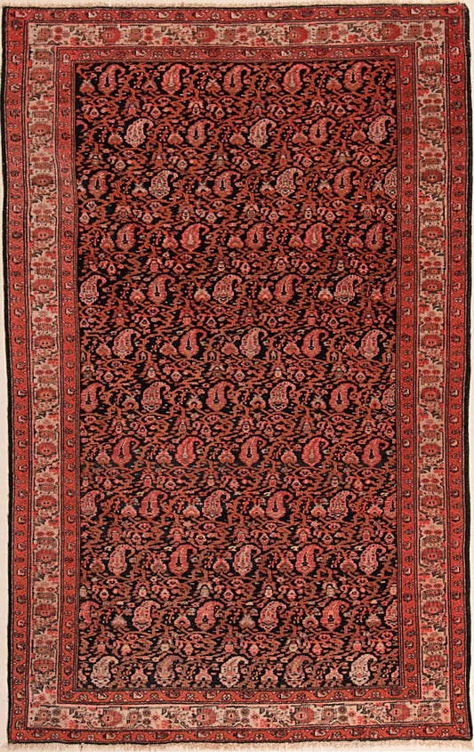 Malayer    203x127
