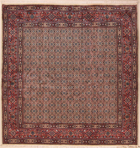 Moud Royal    210x205