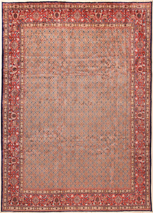 Moud Royal    340x240